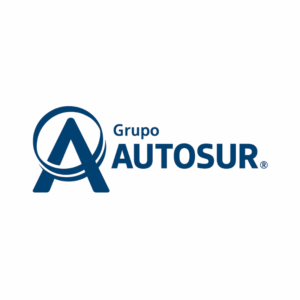 GRUPO-AUTOSUR-oes